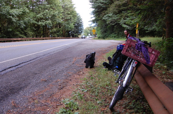 Bus Stop by Highway 101 at Lake Crescent